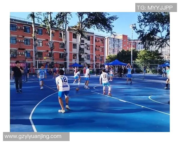 武汉排球队的崛起与奋斗精神探秘排球运动的魅力与力量